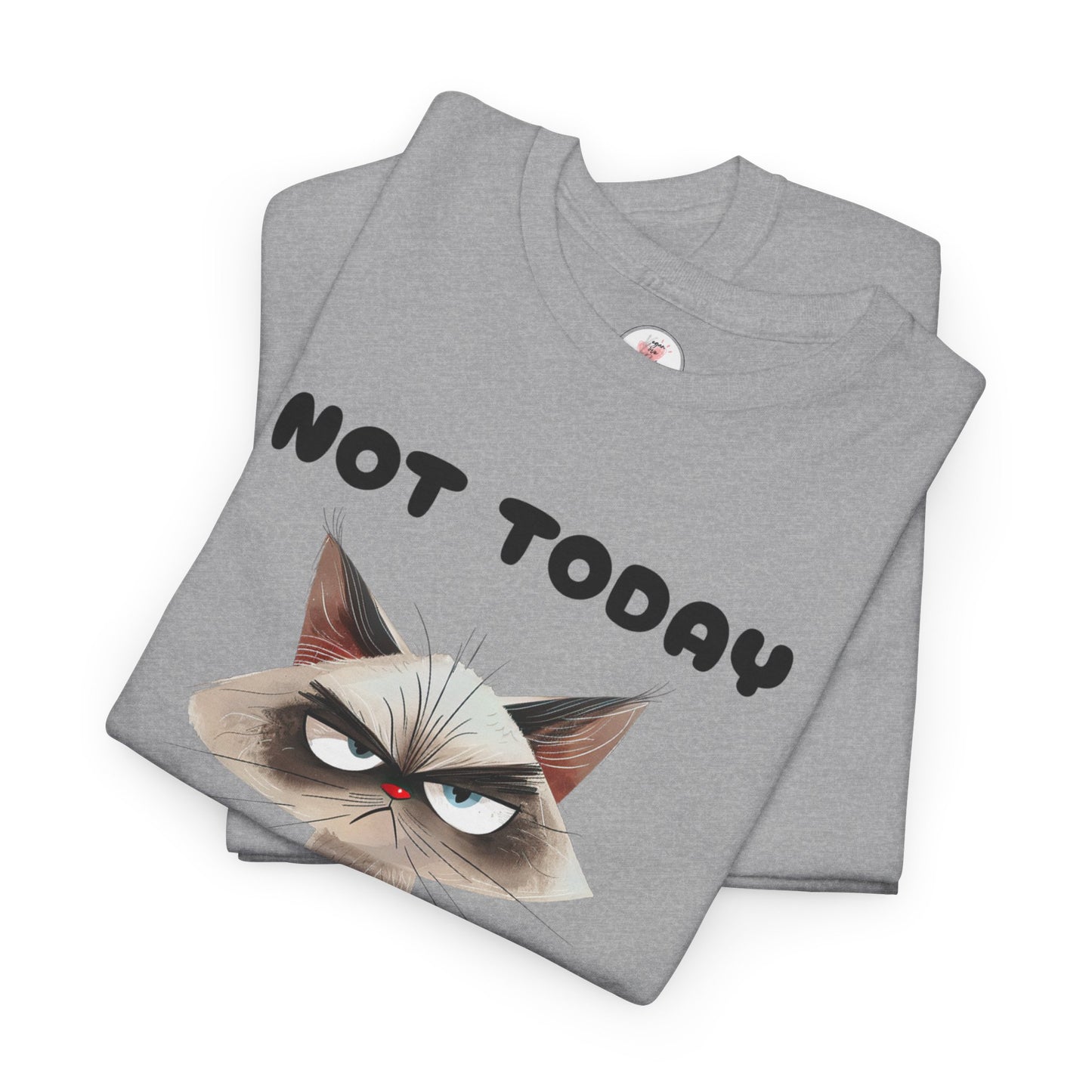 Not Today - Grumpy Cat Unisex T-Shirt
