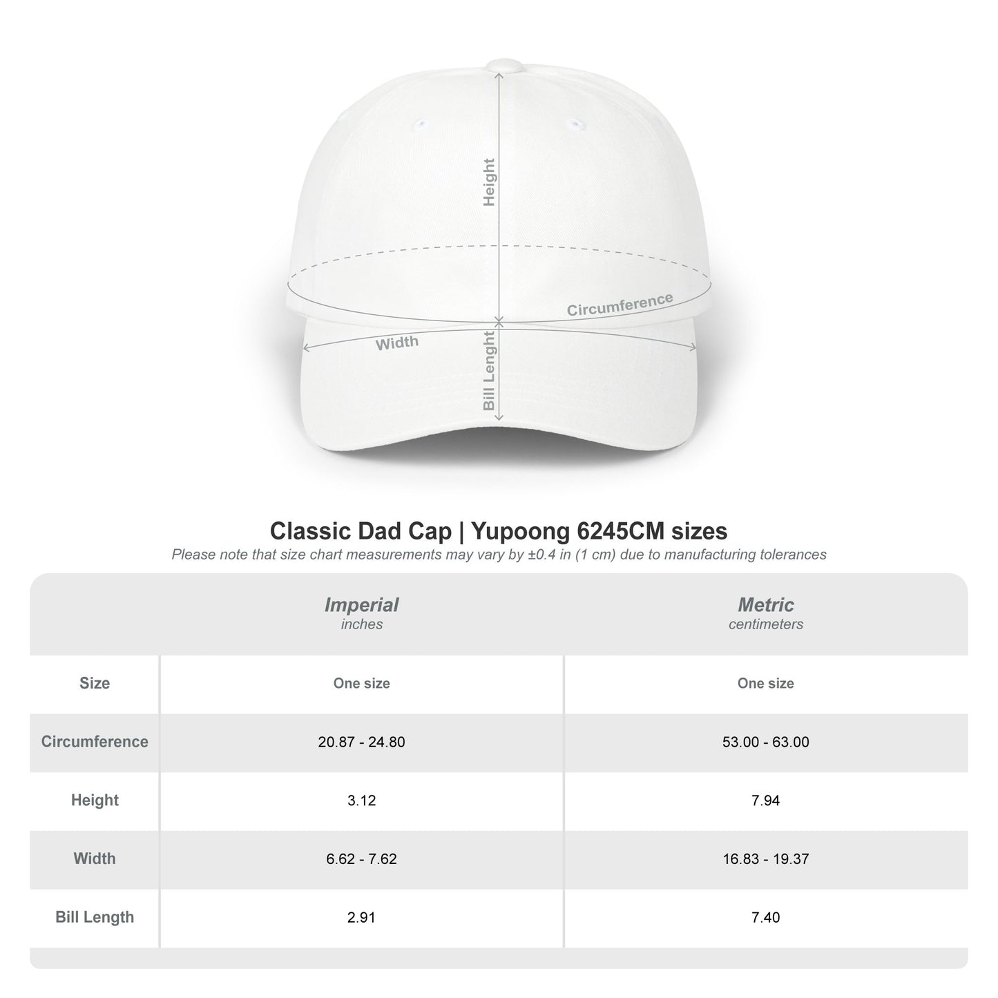 Team USA, and Olympic Rings Embroidered  Dad Cap — Patriotic Sports Baseball Hat