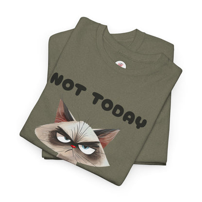 Not Today - Grumpy Cat Unisex T-Shirt