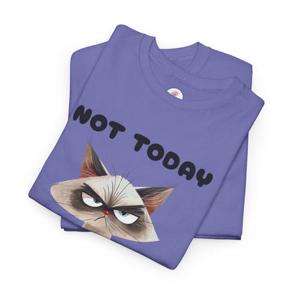 Not Today - Grumpy Cat Unisex T-Shirt