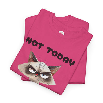 Not Today - Grumpy Cat Unisex T-Shirt