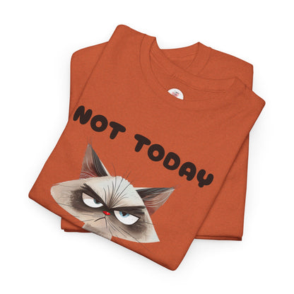 Not Today - Grumpy Cat Unisex T-Shirt