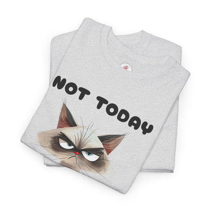 Not Today - Grumpy Cat Unisex T-Shirt