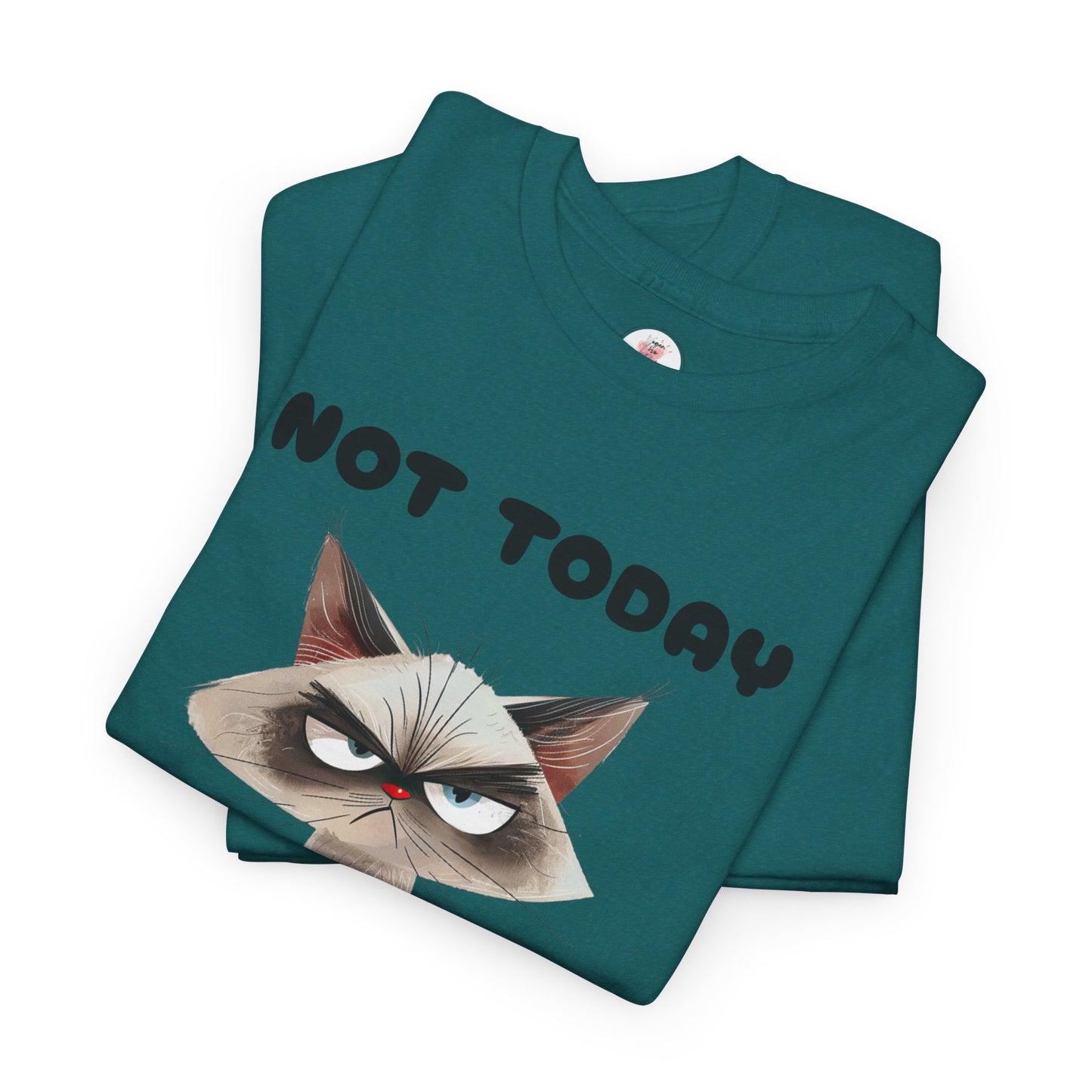 Not Today - Grumpy Cat Unisex T-Shirt