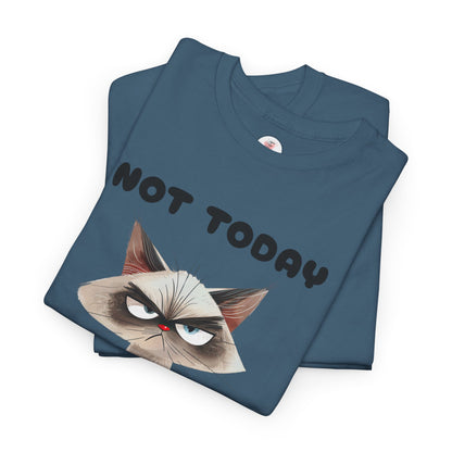Not Today - Grumpy Cat Unisex T-Shirt