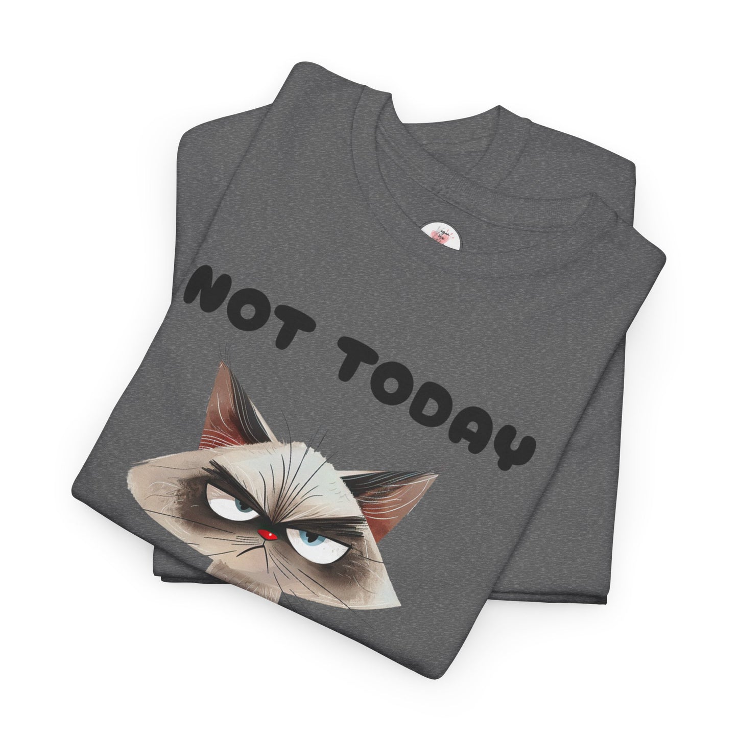 Not Today - Grumpy Cat Unisex T-Shirt