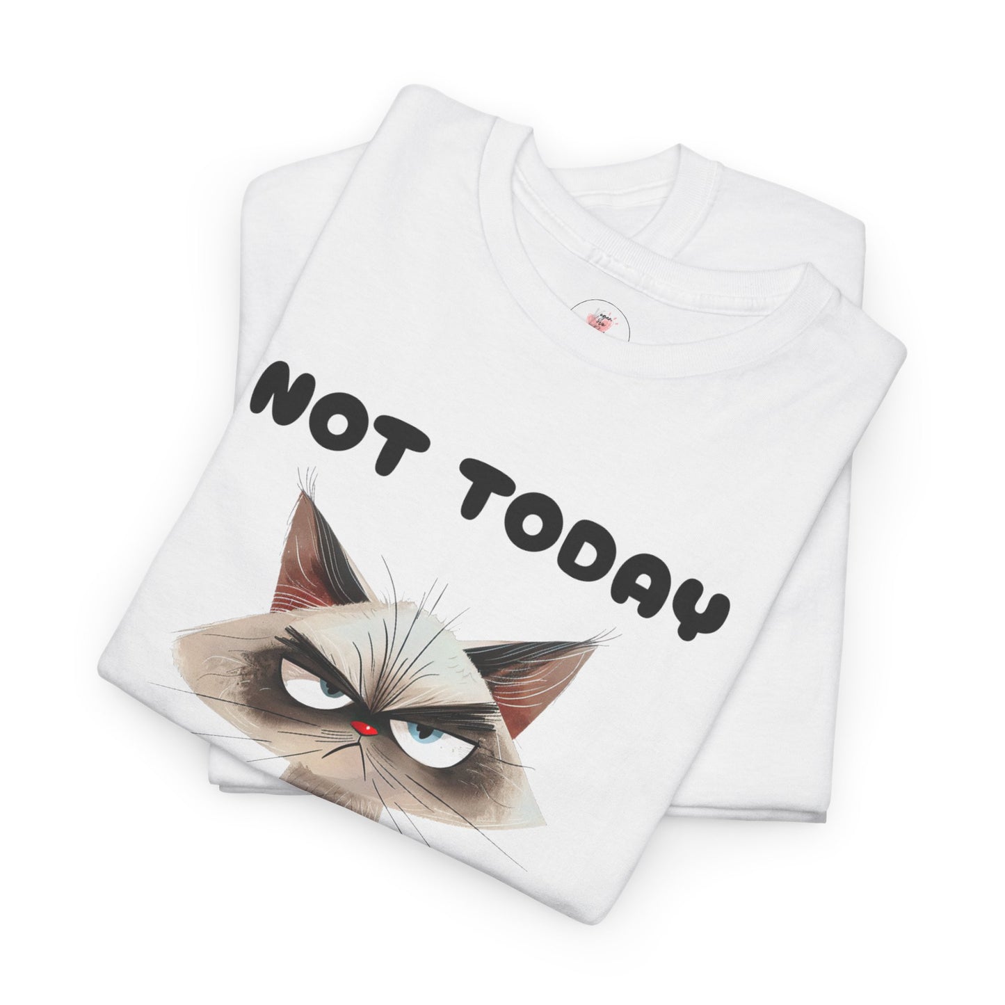 Not Today - Grumpy Cat Unisex T-Shirt