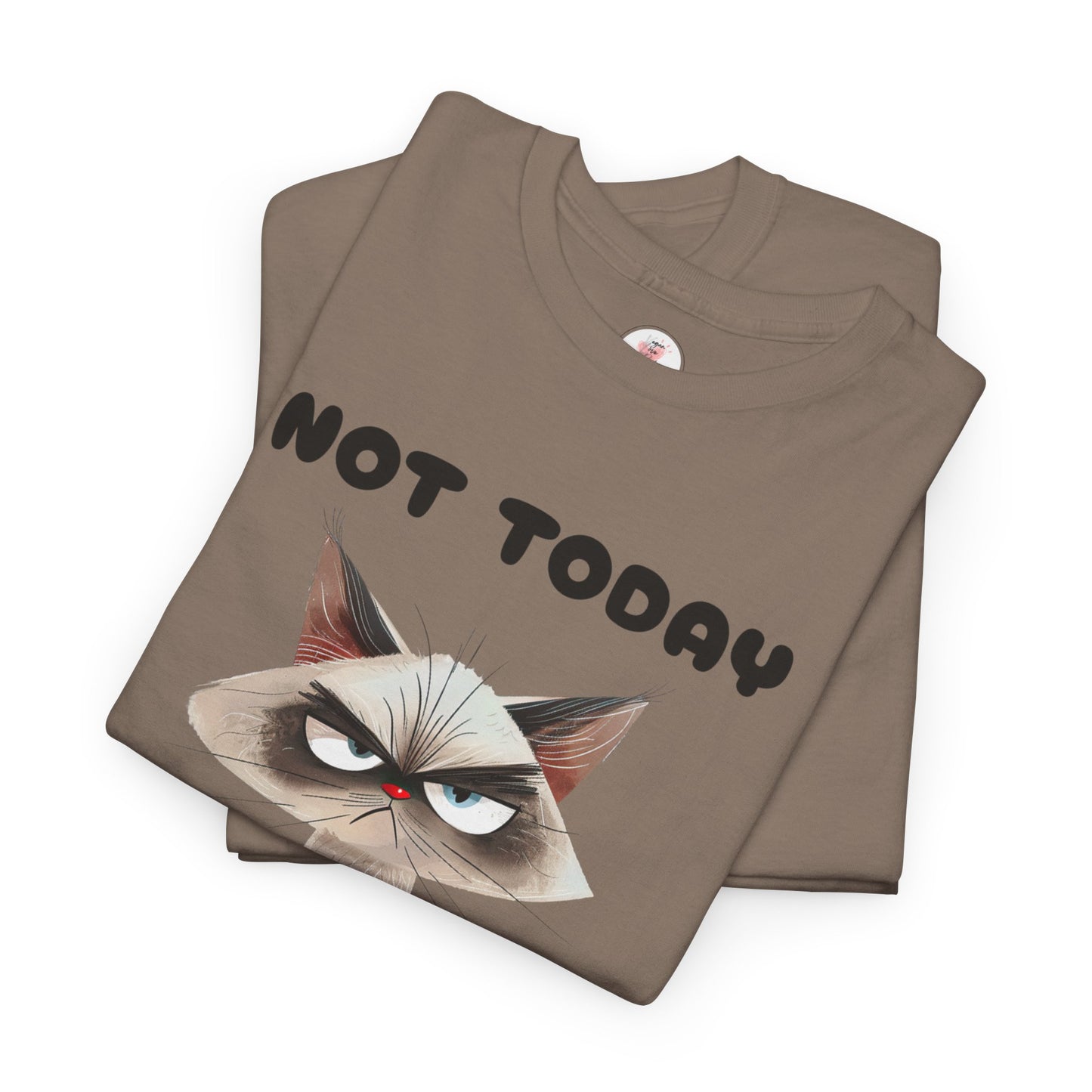 Not Today - Grumpy Cat Unisex T-Shirt